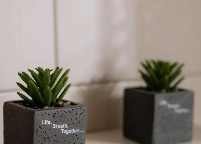 Xenia Serenity Apartment