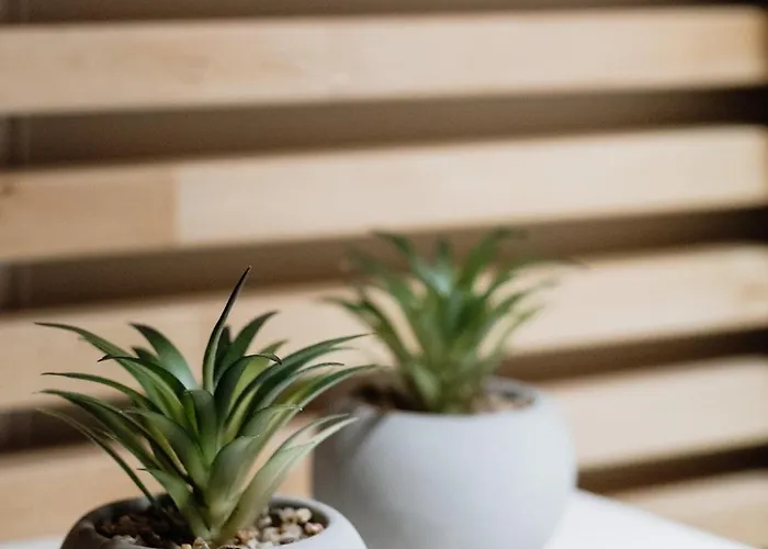 Апартаменты Xenia Serenity